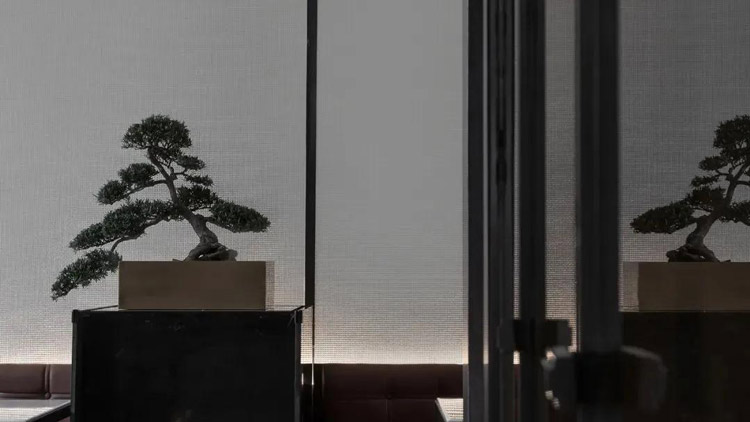 餐廳設(shè)計(jì)