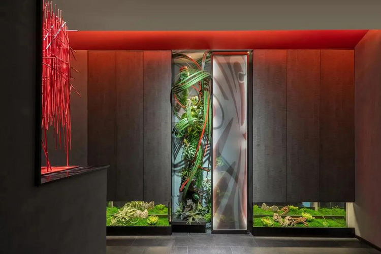 餐廳設(shè)計(jì)